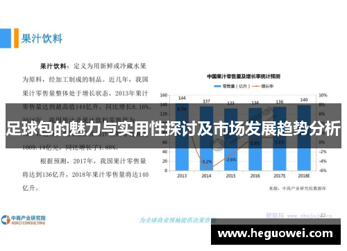 足球包的魅力与实用性探讨及市场发展趋势分析