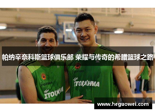 帕纳辛奈科斯篮球俱乐部 荣耀与传奇的希腊篮球之路 帕纳辛奈科斯篮球俱乐部 荣耀与传奇的希腊篮球之路