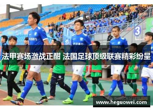 法甲赛场激战正酣 法国足球顶级联赛精彩纷呈 法甲赛场激战正酣 法国足球顶级联赛精彩纷呈